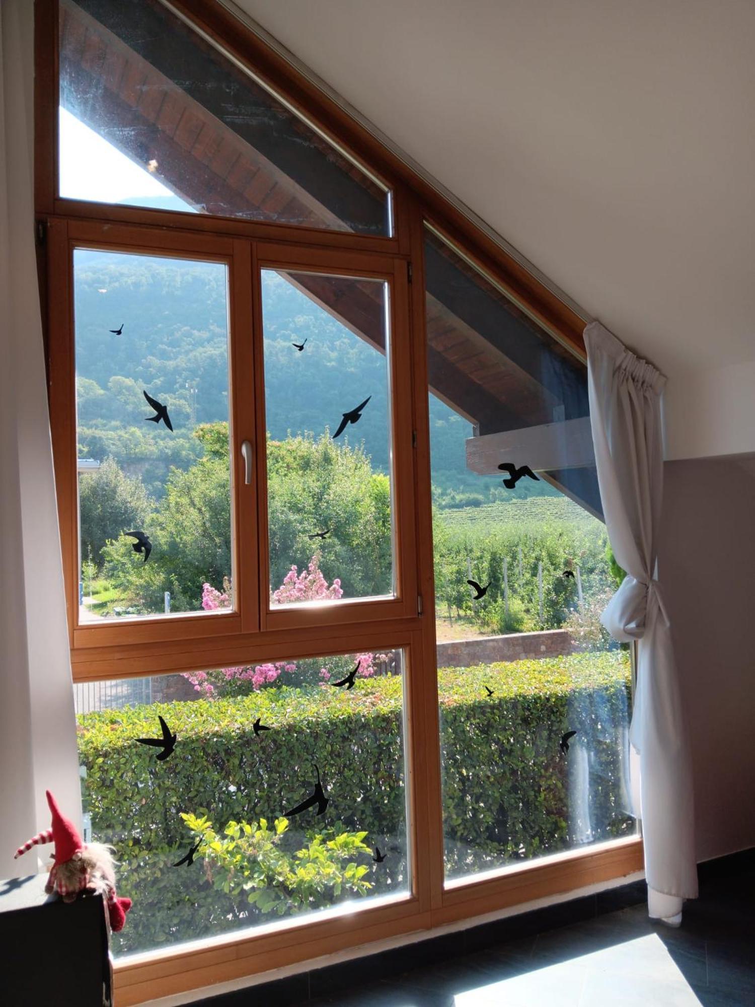 Casa Sally San Michele allʼAdige 外观 照片